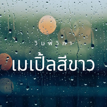รูปภาพสำหรับผู้ผลิตนี้ 