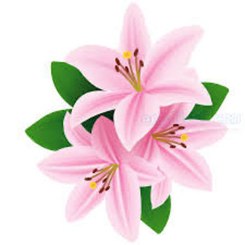 รูปภาพสำหรับผู้ผลิตนี้ 