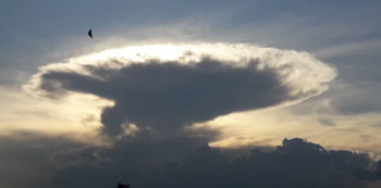 รูปภาพสำหรับผู้ผลิตนี้ 