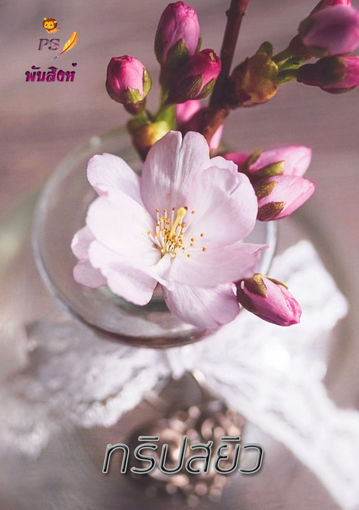 รูปภาพของ ทริปสยิว